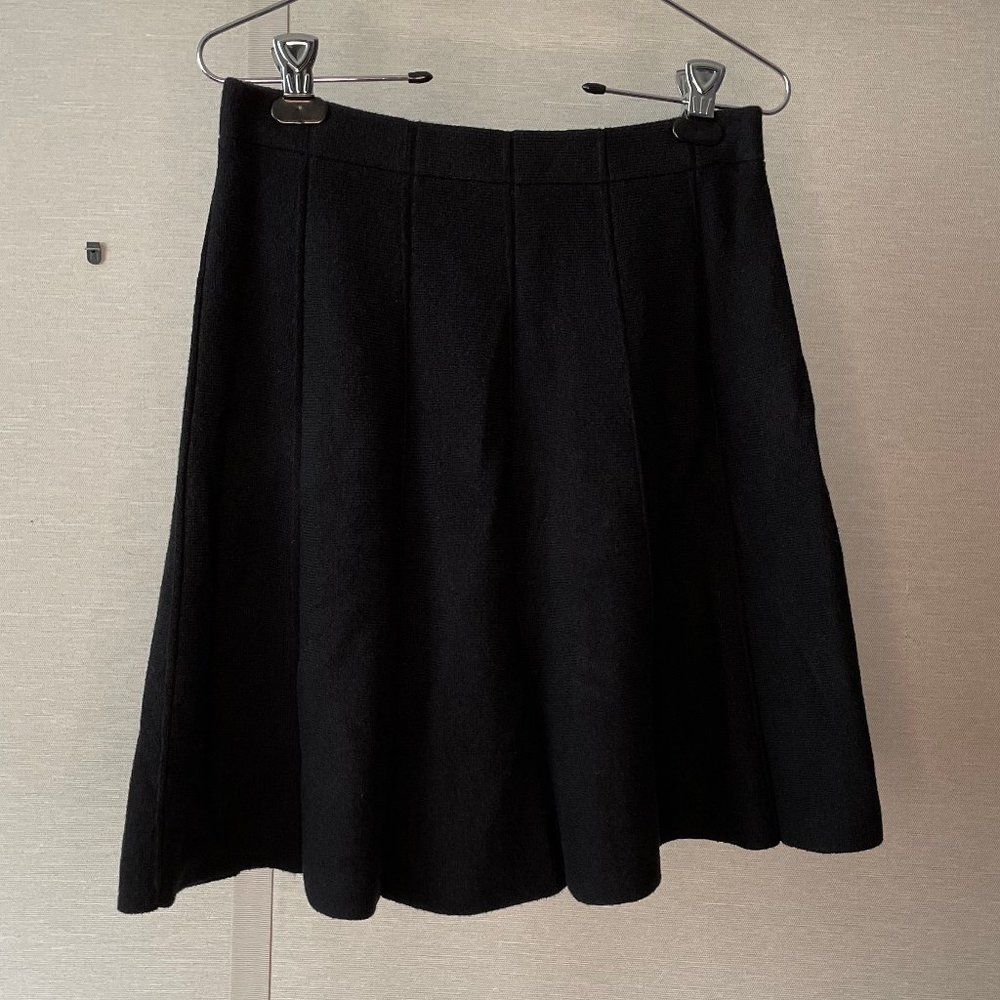 Adrienne Vittadini Pleaded Skirt Black